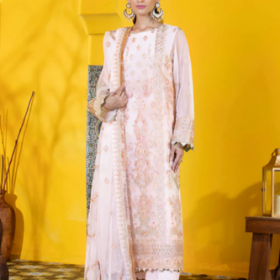3 Piece Embroidered Net Suit