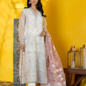 3 Piece Embroidered Organza Suit
